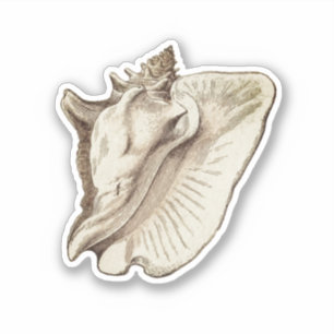 Sticker vintage conch sépia classique collant rond