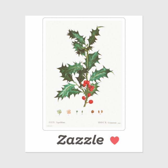 STICKER vintage HOLLY BOTANICAL REDOUTÉ PERSONNALI (Feuille)