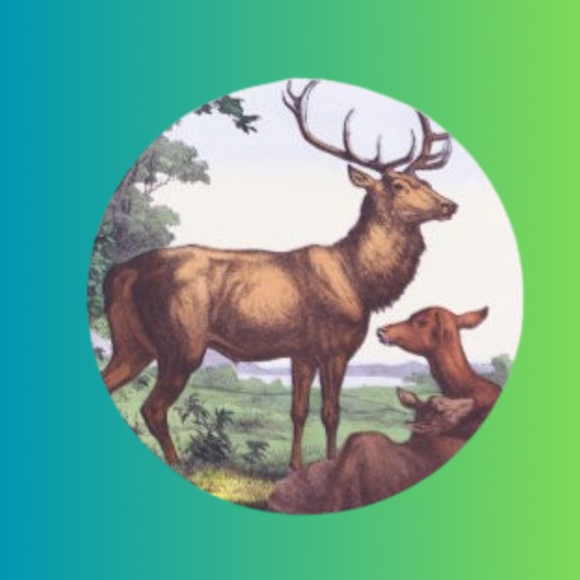 Sticker Vintage ronde de la famille des cerfs (Créateur téléchargé)