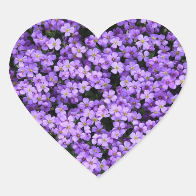 Sticker Violet Fleurs Sticker Violets Printemps (Devant)