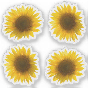 Sticker vraie image de tournesol jaune 4x set