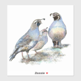 Sticker Watercolor California Quail Bird Nature Wildlife