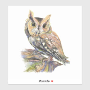 Sticker Watercolor Screech Owl Bird Nature Art