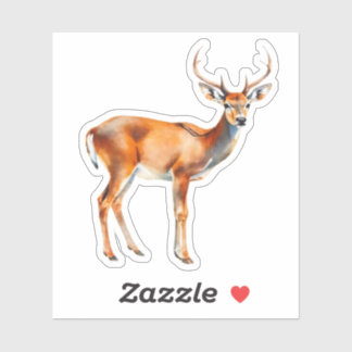 Sticker White Tail Deer