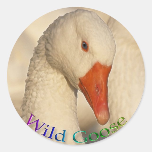Sticker Wild White Oose Bird Wildlife (Devant)