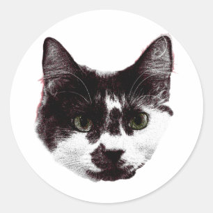 Sticker with a Stare Ink Style Cat Sticker