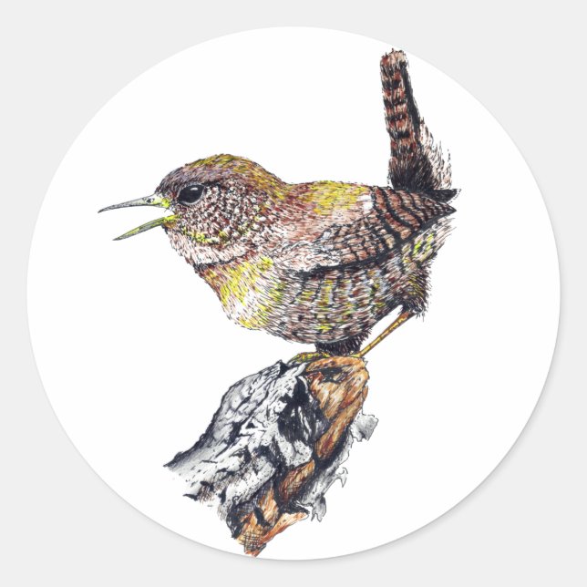 Sticker Wren (Devant)
