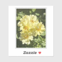Yellow Botanical Flowers