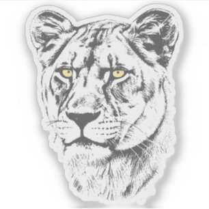 Sticker Yeux Jaunes de Lionne