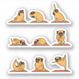 Sticker Yoga Chiot Yoga Carlin Poses et méditation Carlin 