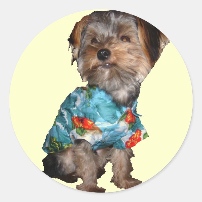 Sticker Yorkie Hawaïen (Devant)