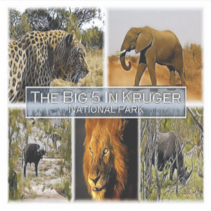 Sticker ZA * AFRIQUE DU SUD - LE GROS 5 à KRUGER N. P.