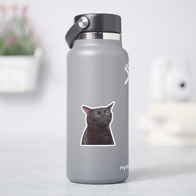 Sticker Zoned Out Chat, Black Cat Zoned Out Mème (HydroFlask)