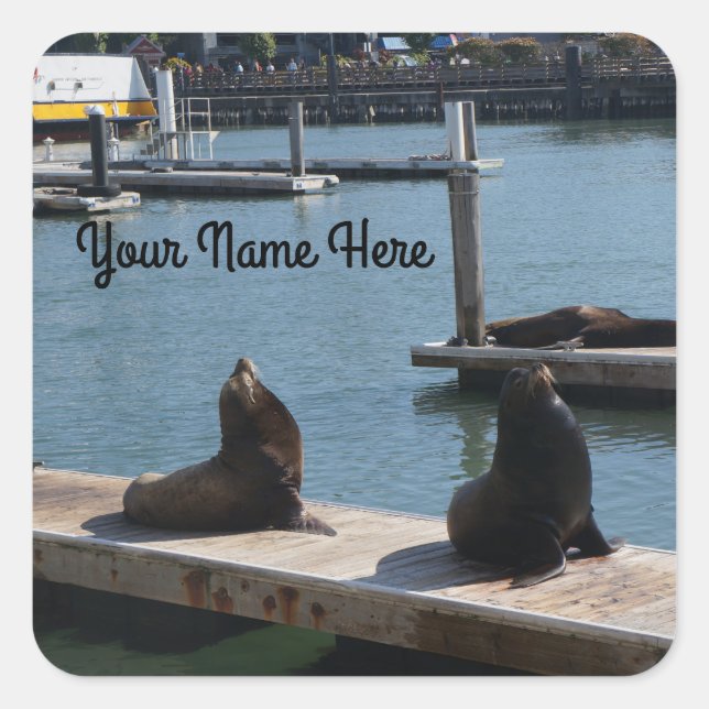 Stickers #3 Sea Lions Pier 39 de San Francisco (Devant)