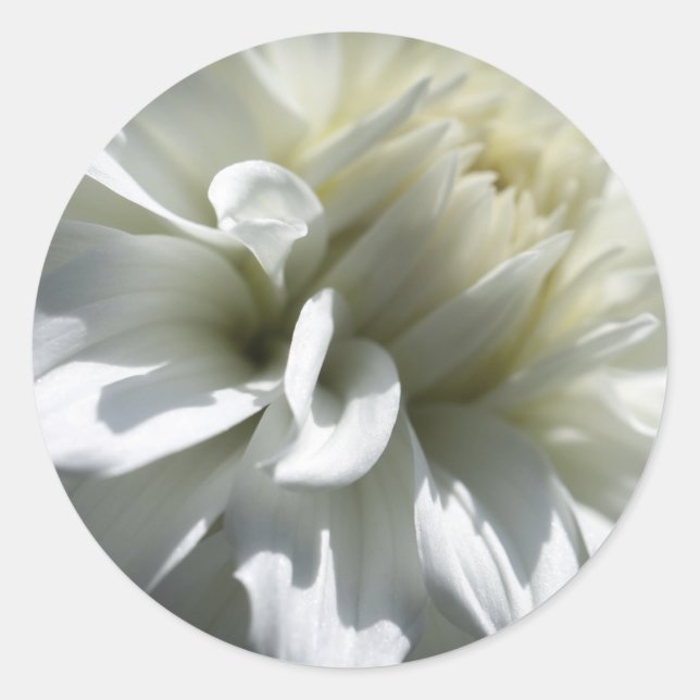Stickers à fleurs blanches (Devant)