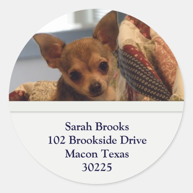 Stickers Adresse Chihuahua (Devant)