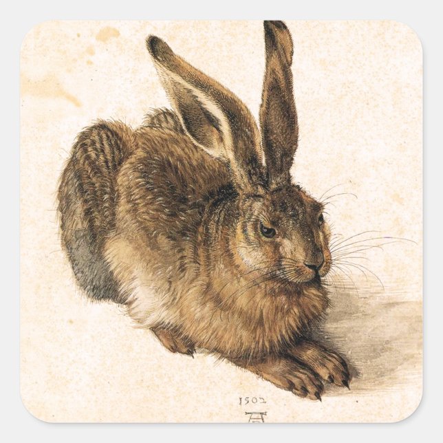 Stickers Albrecht Durer Young Hare (Devant)
