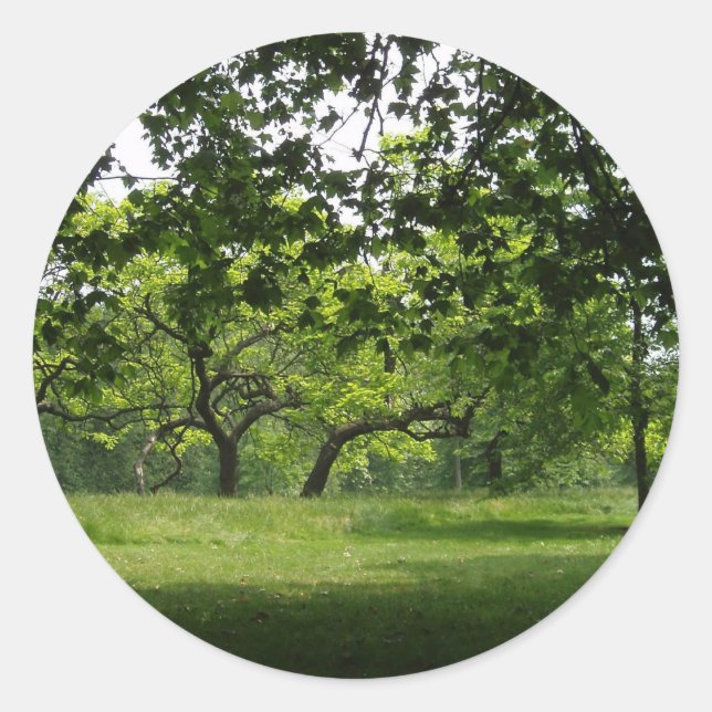 Stickers Arbre (Devant)