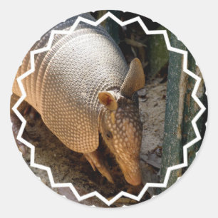 Stickers Armadillo