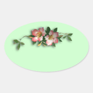 Stickers Arrière - plan rose et menthe