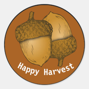 Stickers Arrondi Classique Acorns