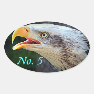 Stickers Bald Eagle Bin
