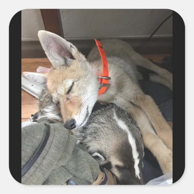 Stickers Benny et Doc (Devant)