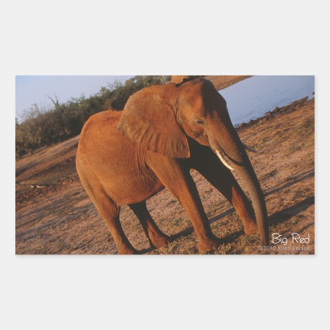 Stickers Big Red Elephant (Devant)