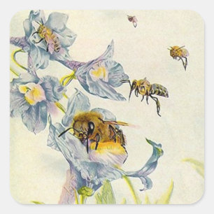 STICKERS Bio HONEY apiculteur abeilles fleurs