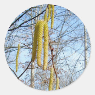 Stickers Birch Catkins