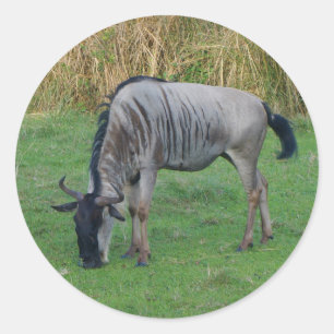 Stickers Blue Wildebeest #1
