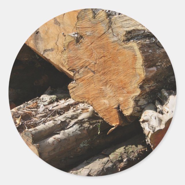 Stickers Bois (Devant)