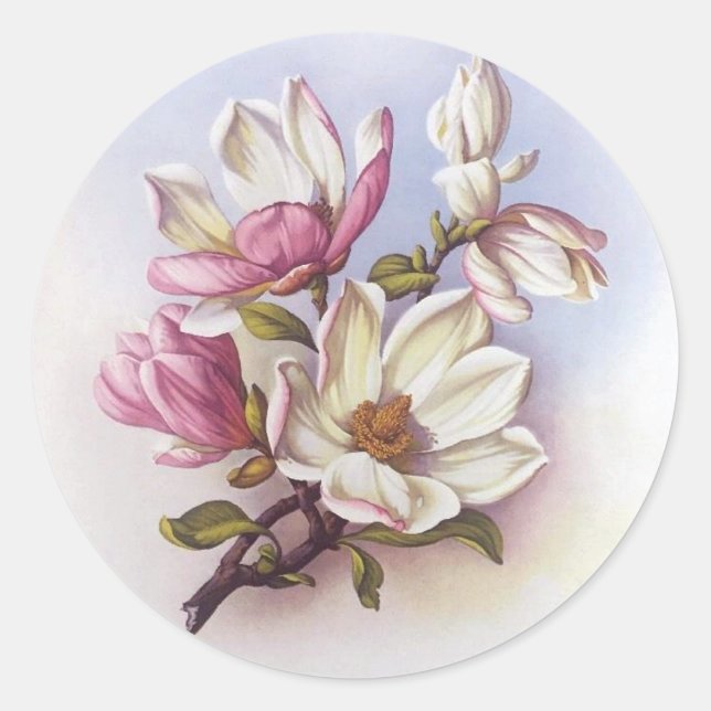 Stickers Botaniques vintages Rose Magnolia Retro (Devant)