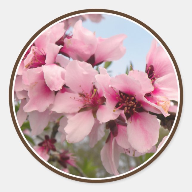 Stickers Branche rose (Devant)