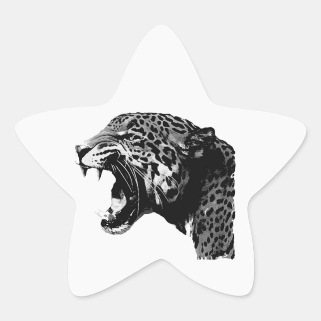 Stickers BW Jaguar Star (Devant)