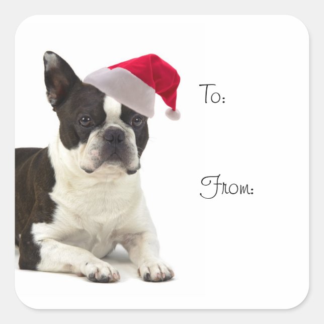 Stickers cadeaux père Noël Boston Terrier (Devant)
