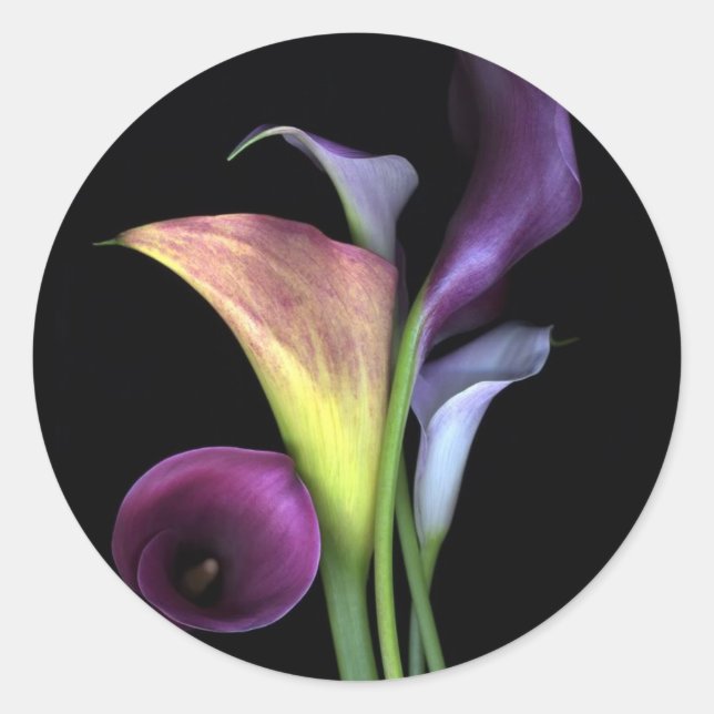 Stickers Calla Lilies (Devant)