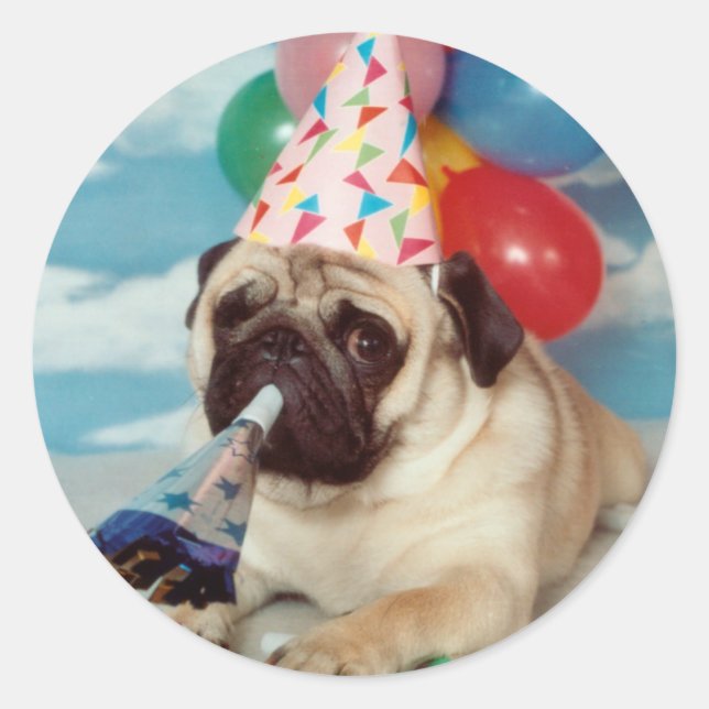Stickers Carlin d'anniversaire (Devant)