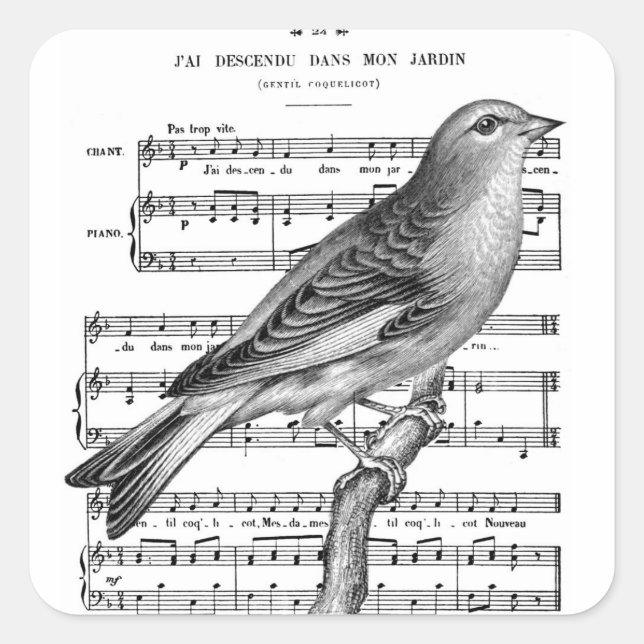Stickers Carré vintage de musique Bird (Devant)