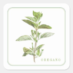 Stickers Carrés FRAIS OREGANO