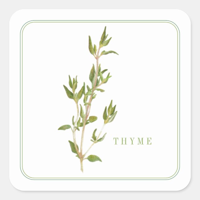 Stickers Carrés FRAIS THYME (Devant)