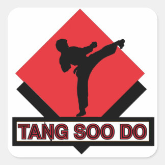 stickers carrés Tang Soo Do