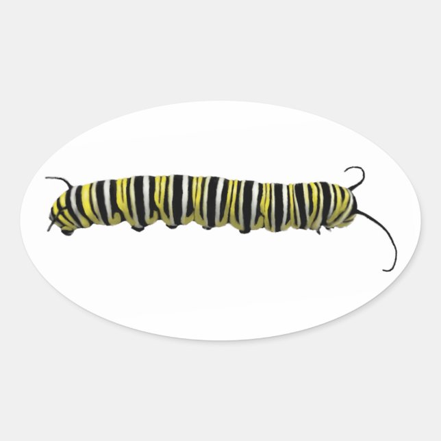 Stickers Caterpillar Monarch (Front)