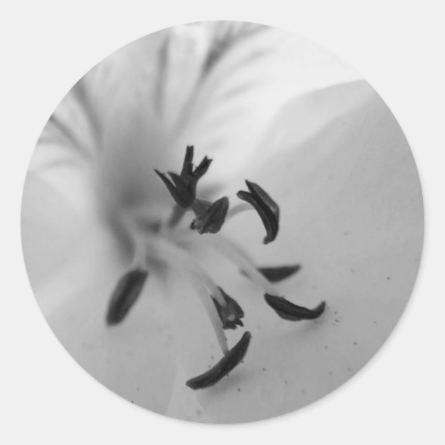 Stickers Centre Geranium B&W (Devant)