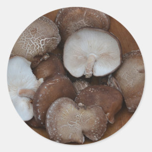 Stickers champignon Shiitake