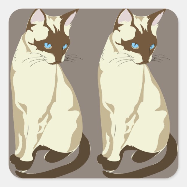 stickers chats siamois (Devant)