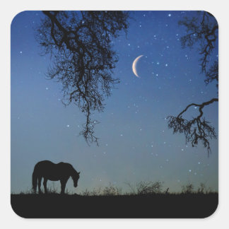 Stickers Cheval Horse et Crescent Moon Imaginaire