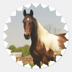 Stickers Cheval Paint