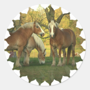 Stickers Cheval Palomino