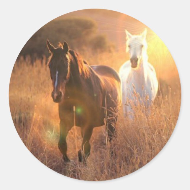 Stickers Cheval Sauvage Galloping (Devant)